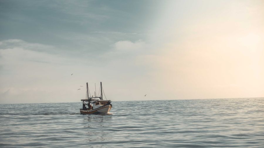 A fishing boat at sea, much like the ones found near French Creek, BC