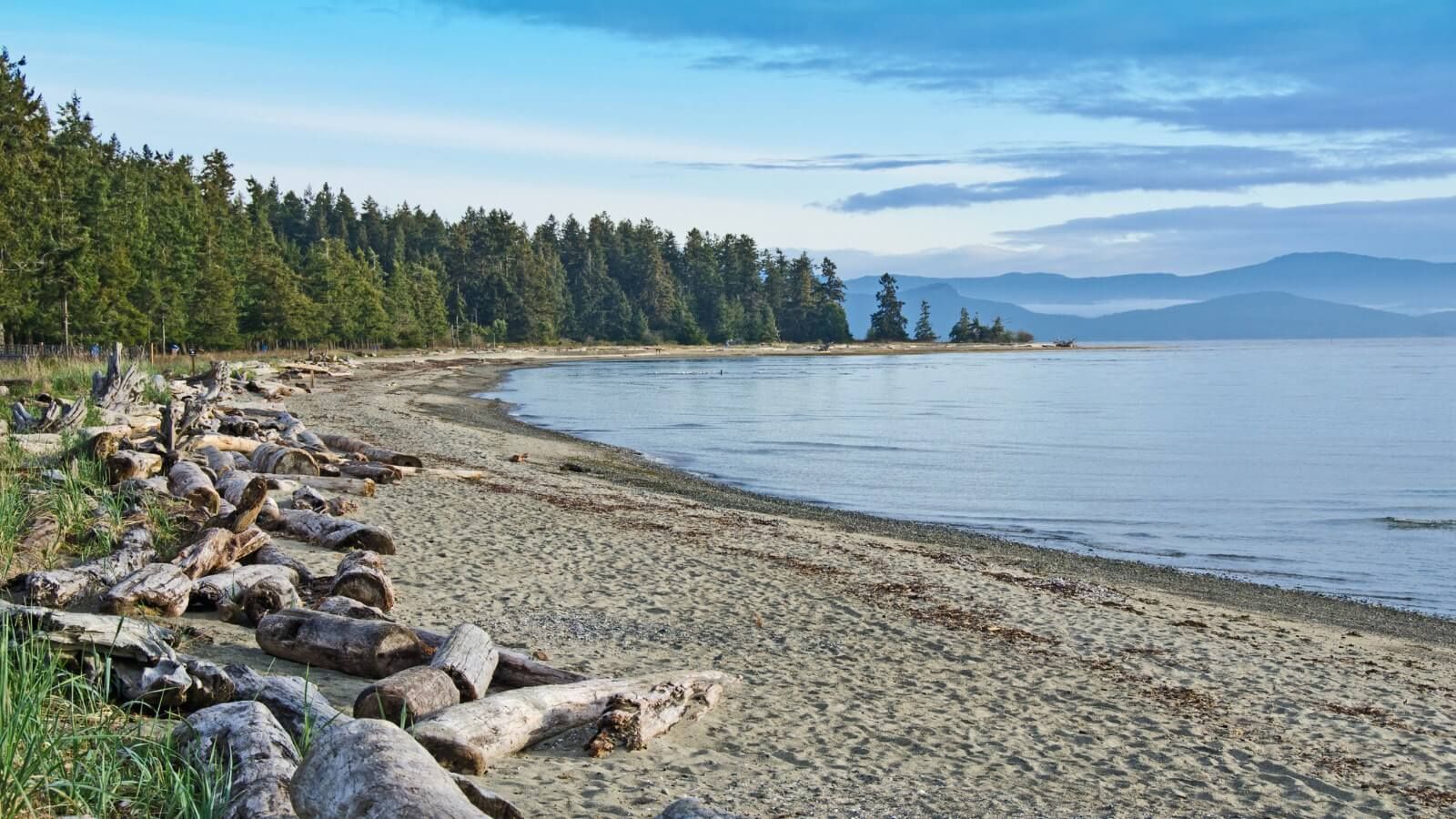 Parksville Beach Shoreline and blue skies