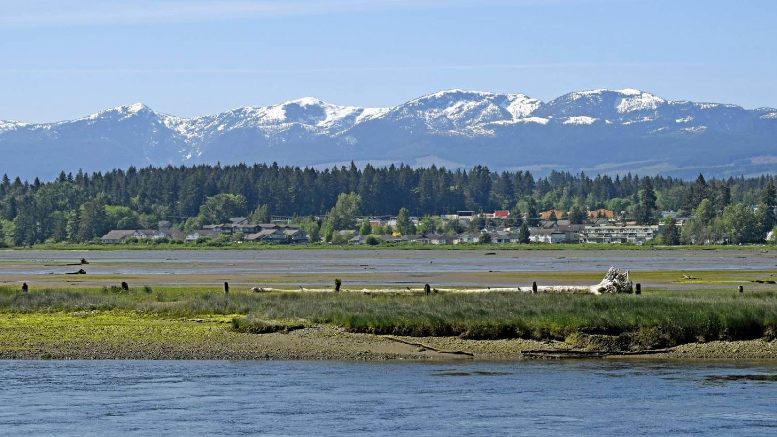 Photo of Courtenay estuary, ocean, forest and mountains and blue skies, Courtenay Real estate