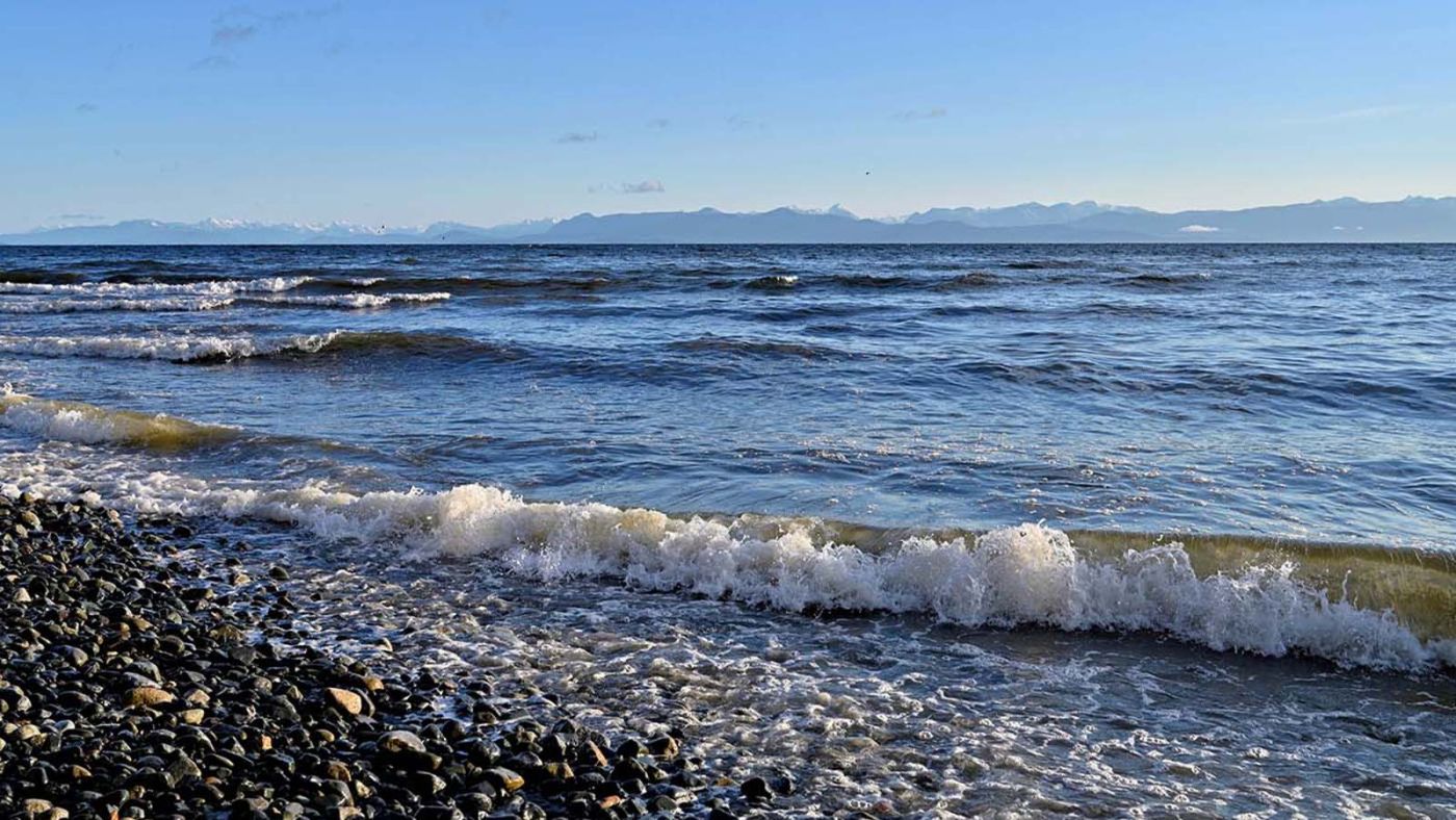 French Creek shoreline.