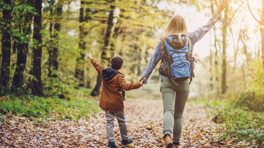 Mother and child walking through the woods on a beautiful day