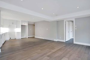 1168 Silversmith Place basement with kitchen area