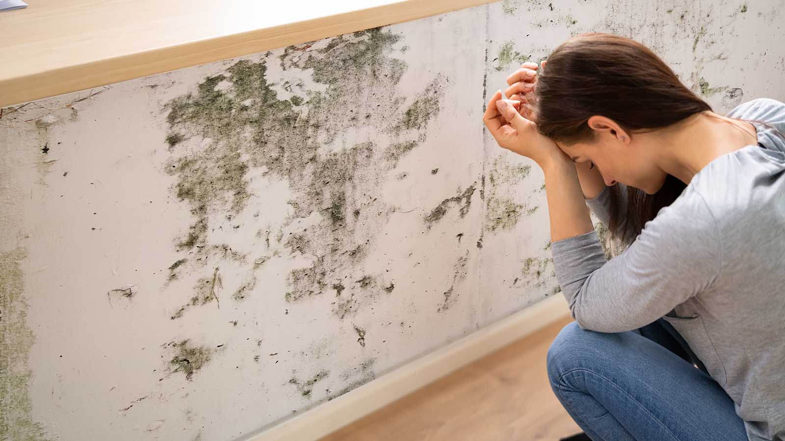 Side View Of A Shocked Young Woman Looking At Mold On Wall