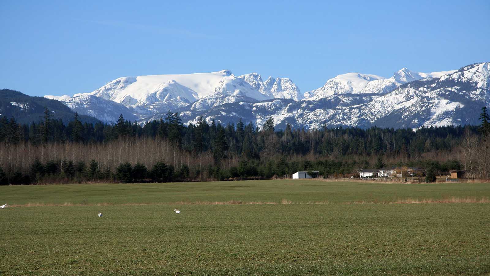 The Comox Glacier across an empty dairy field