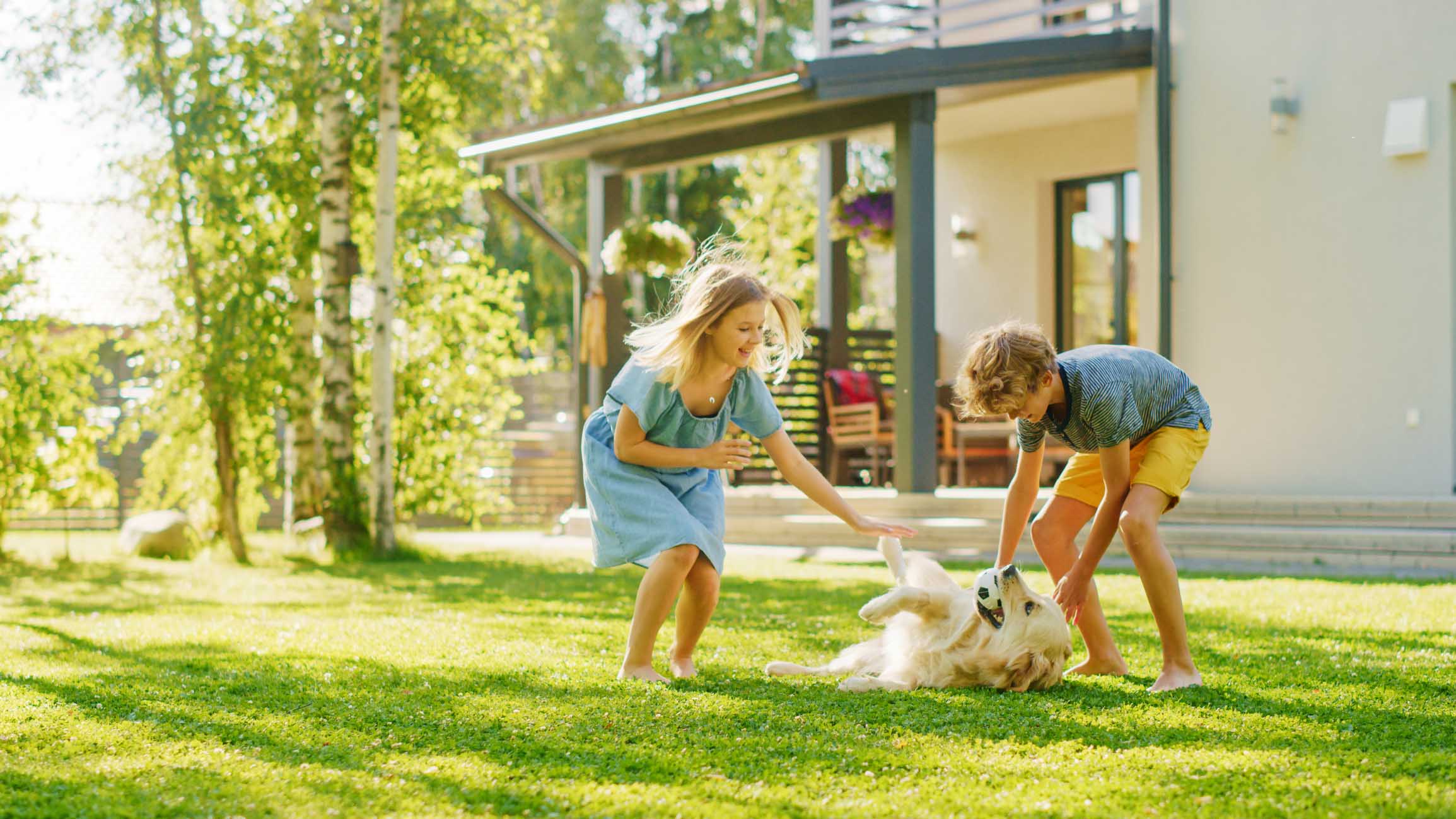 Children playing in their backyard with the family's dog.